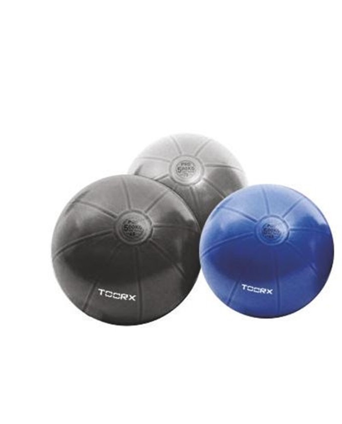 Gym Ball Pro Toorx 55cm Diametro Fitness Allenamento Blu AHF147 Gym Ball Pro Toorx 55cm Diametro Fitness Allenamento Blu AHF147