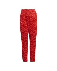 Tuta da Ragazzo Adidas Football Celebration Bambino Arancione ID0001