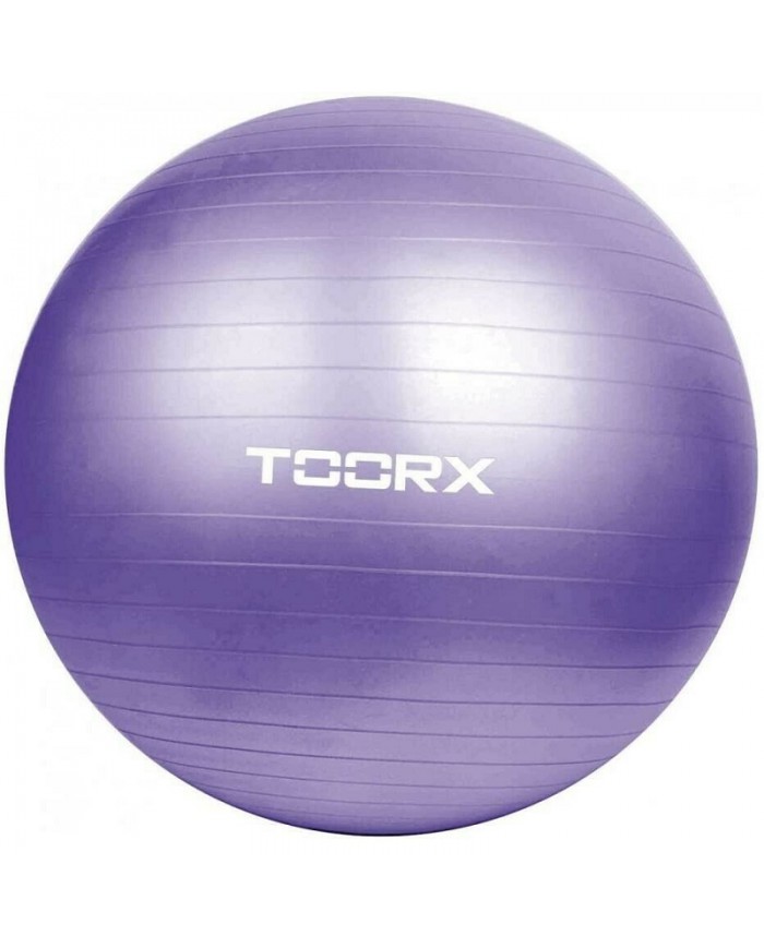 Gym Ball Pro Toorx 55cm Diametro Fitness Allenamento Blu AHF147