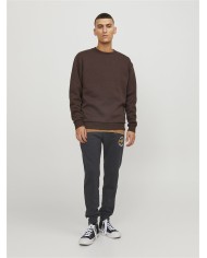 Pantatuta Jack&jones 12236876