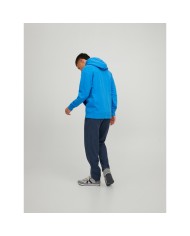 Pantatuta Jack&jones 12229699