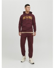 Pantatuta Jack&jones 12254528