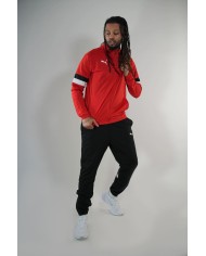 TUTA COMPLETA PUMA TEAMRISE 658653-01