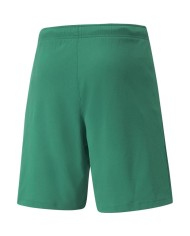 Pantaloncino calcio Puma teamRISE 704942-05