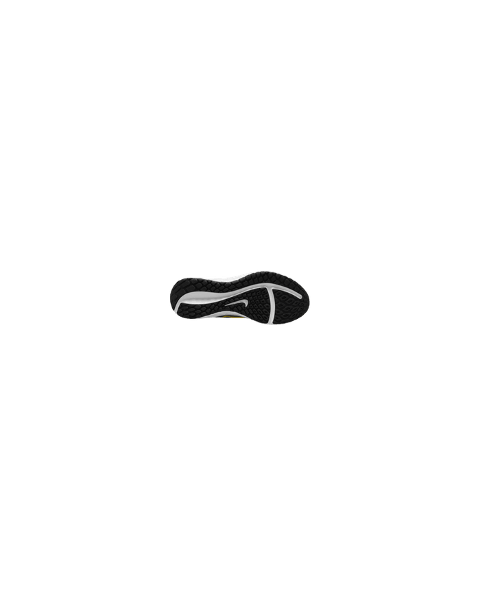 Nike Downshifter 13 FD6454-014 Nike Downshifter 13 FD6454-014
