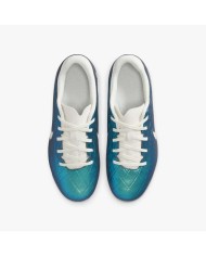 NIKE JR LEGEND 10 ACADEMY FG/MG  FN5922-300
