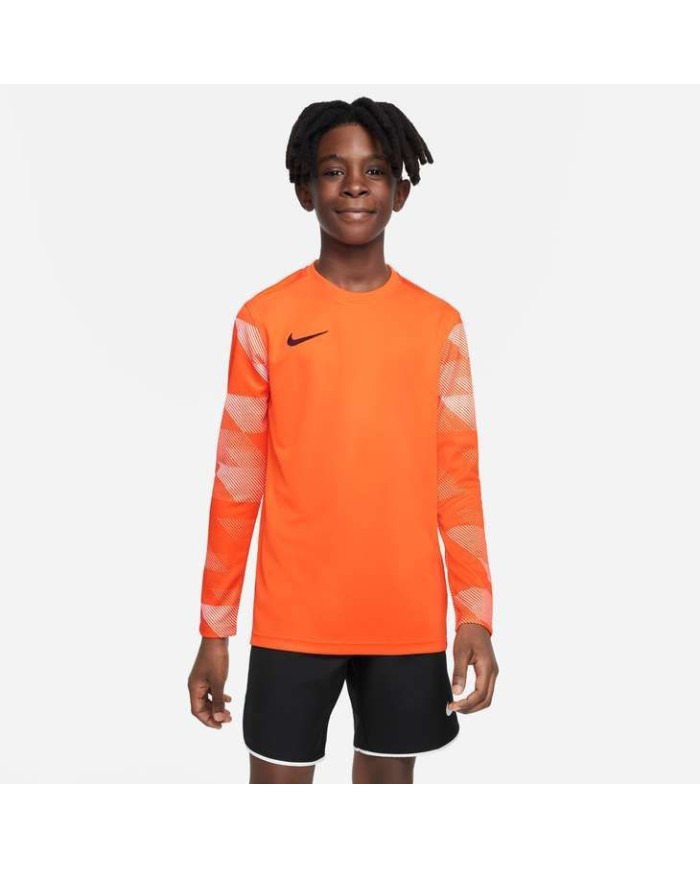 MAGLIA DRI-FIT PARK IV GOALKEEPER CJ6072-819