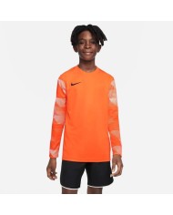 MAGLIA DRI-FIT PARK IV GOALKEEPER CJ6072-819