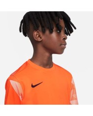 MAGLIA DRI-FIT PARK IV GOALKEEPER CJ6072-819