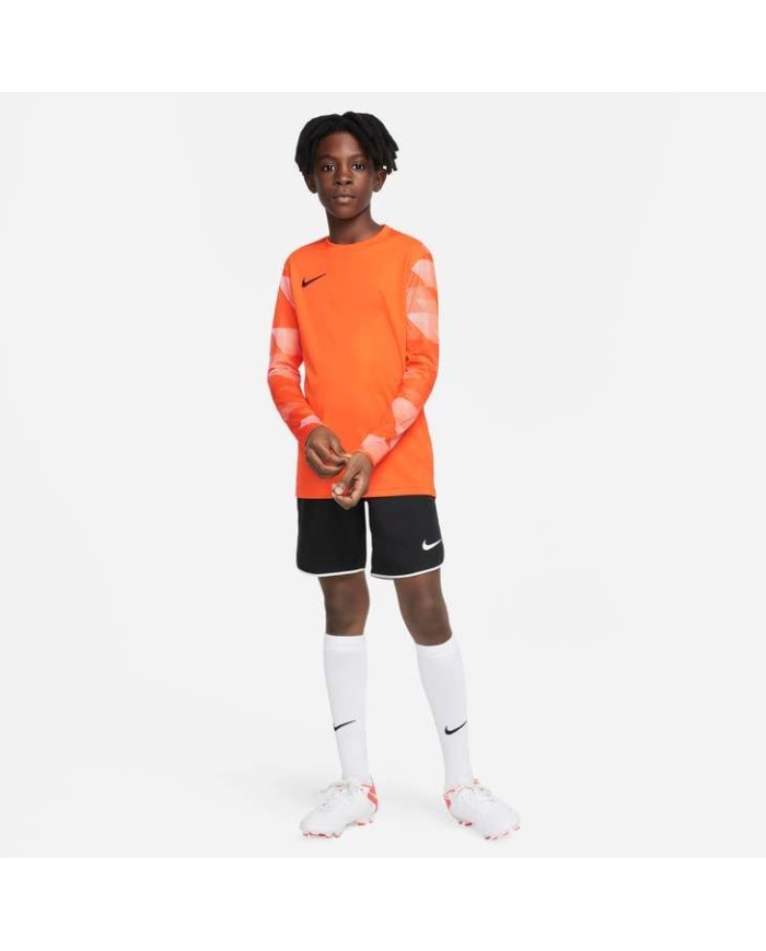 MAGLIA DRI-FIT PARK IV GOALKEEPER CJ6072-819