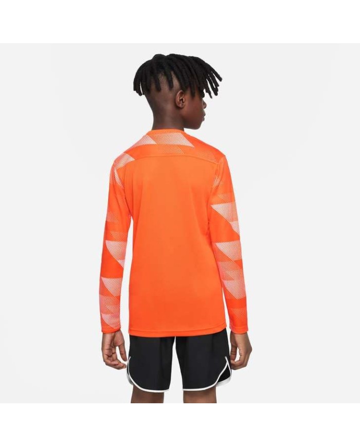 MAGLIA DRI-FIT PARK IV GOALKEEPER CJ6072-819