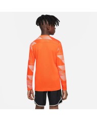 MAGLIA DRI-FIT PARK IV GOALKEEPER CJ6072-819