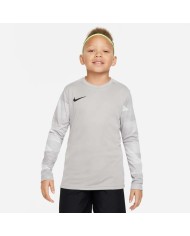 MAGLIA DRI-FIT PARK IV GOALKEEPER CJ6072-052