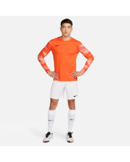 MAGLIA PARK 4 GOALKEEPER  CJ6066-819