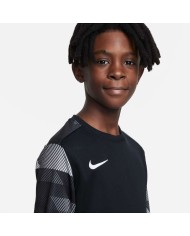 MAGLIA DRI-FIT PARK IV GOALKEEPER CJ6072-010