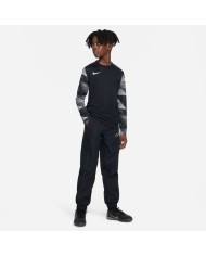 MAGLIA DRI-FIT PARK IV GOALKEEPER CJ6072-010