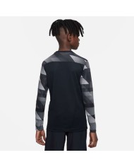 MAGLIA DRI-FIT PARK IV GOALKEEPER CJ6072-010