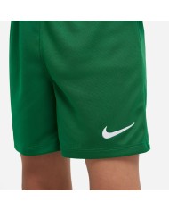 COMPLETO CALCIO NIKE PARK KIDS CD2244-302