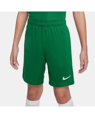 Y NK DF LGE KNIT III SHORT K PINE GREEN/WHITE/WHITE