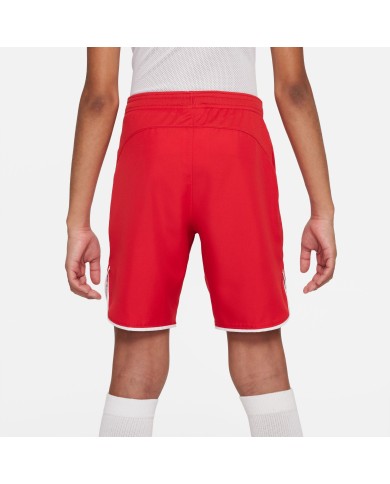 PANTALONCINI Nike Dri-FIT DH8408-657 PANTALONCINI Nike Dri-FIT DH8408-657