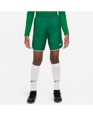 PANTALONCINI Nike Dri-FIT DH8408-302