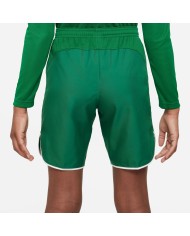 PANTALONCINI Nike Dri-FIT DH8408-302