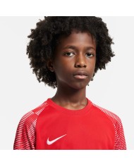 T-SHIRT Nike Dri-FIT Academy DH8369-657