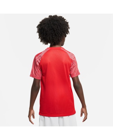 T-SHIRT Nike Dri-FIT Academy DH8369-657 T-SHIRT Nike Dri-FIT Academy DH8369-657