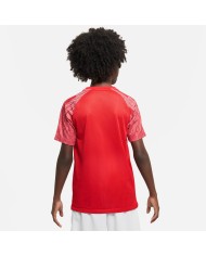 T-SHIRT Nike Dri-FIT Academy DH8369-657