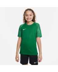T-SHIRT Nike Dri-FIT Academy DH8369-302