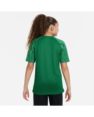 T-SHIRT Nike Dri-FIT Academy DH8369-302 T-SHIRT Nike Dri-FIT Academy DH8369-302