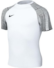 T-SHIRT Nike Dri-FIT Academy DH8369-104