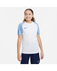 T-SHIRT Nike Dri-FIT Academy DH8369-102