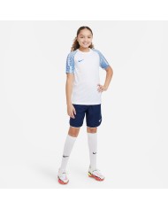 T-SHIRT Nike Dri-FIT Academy DH8369-102