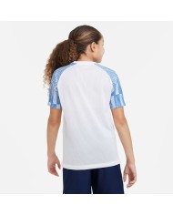 T-SHIRT Nike Dri-FIT Academy DH8369-102
