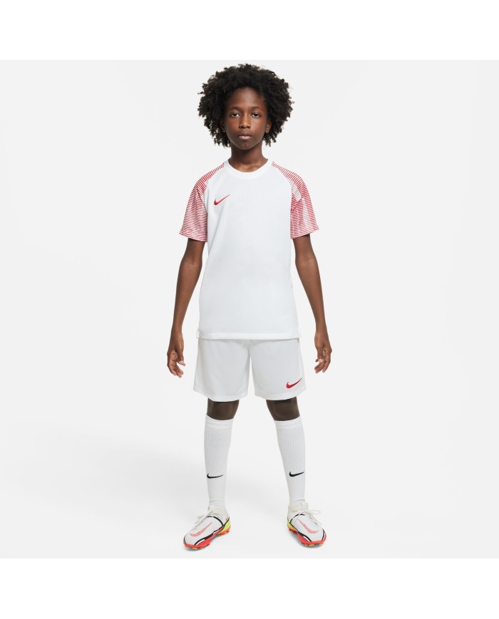 T-SHIRT Nike Dri-FIT Academy DH8369-100