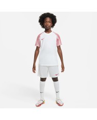 T-SHIRT Nike Dri-FIT Academy DH8369-100