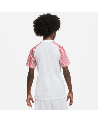 T-SHIRT Nike Dri-FIT Academy DH8369-100 T-SHIRT Nike Dri-FIT Academy DH8369-100