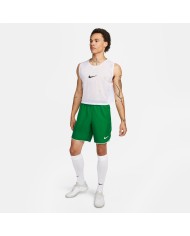 PANTALONCINO Dri-FIT  DH8111-302