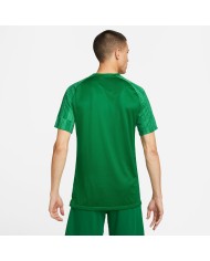 T-SHIRT NIKE ACADEMY DH8031-302