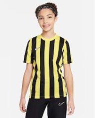 T-SHIRT  Dri-FIT Division 4  CW3819-719