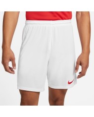 PANTALONCINI DRI-FIT PARK 3 BV6855-103