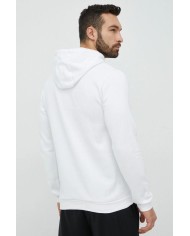 FELPA CON CAPPUCCIO ENTRADA 22 HG6302