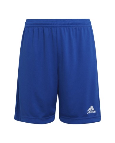 PANTALONCINO ENTRADA22 HG6291 PANTALONCINO ENTRADA22 HG6291