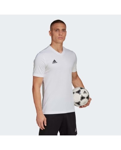 T-SHIRT ADIDAS ENTRADA22 HC5071 T-SHIRT ADIDAS ENTRADA22 HC5071