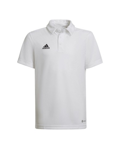 POLO ADIDAS ENTRADA22 HC5059 POLO ADIDAS ENTRADA22 HC5059