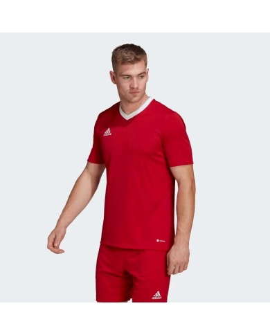 T-SHIRT  ADIDAS ENTRADA22 H61736 T-SHIRT  ADIDAS ENTRADA22 H61736