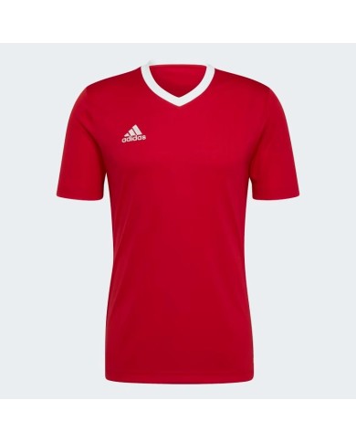 T-SHIRT  ADIDAS ENTRADA22 H61736 T-SHIRT  ADIDAS ENTRADA22 H61736