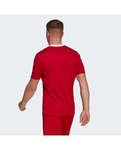 T-SHIRT  ADIDAS ENTRADA22 H61736 T-SHIRT  ADIDAS ENTRADA22 H61736
