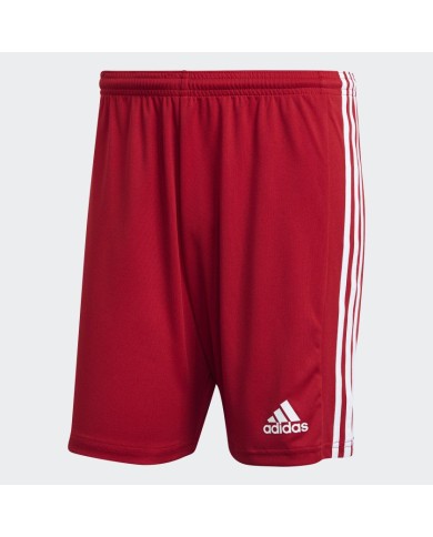 SHORT SQUADRA 21  GN5771 SHORT SQUADRA 21  GN5771